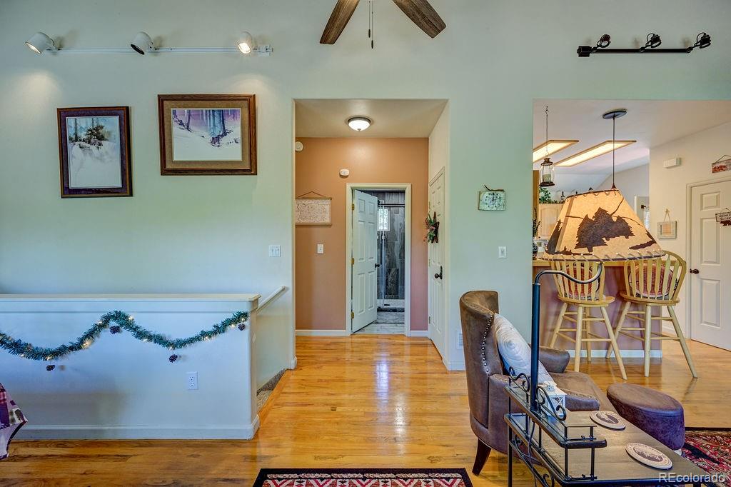 MLS Image #17 for 30433  national forest drive,buena vista, Colorado
