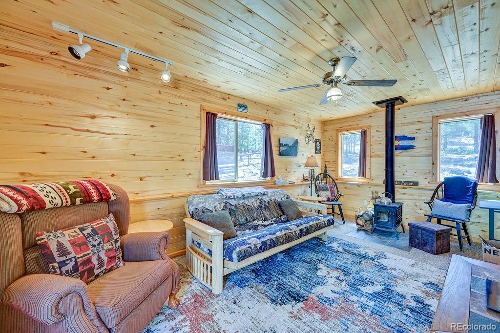 MLS Image #2 for 30433  national forest drive,buena vista, Colorado