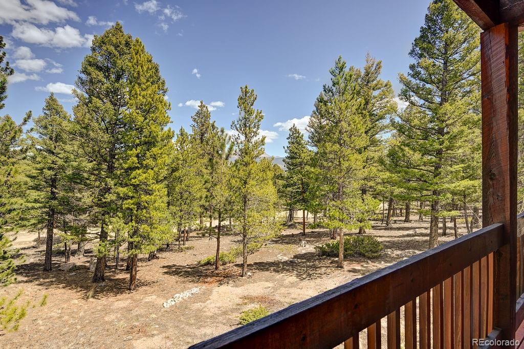 MLS Image #22 for 30433  national forest drive,buena vista, Colorado