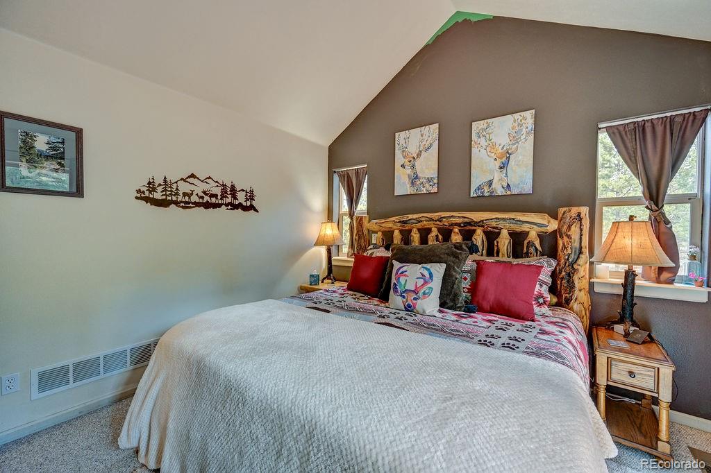 MLS Image #27 for 30433  national forest drive,buena vista, Colorado