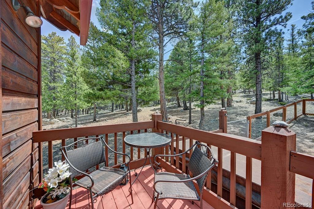 MLS Image #28 for 30433  national forest drive,buena vista, Colorado