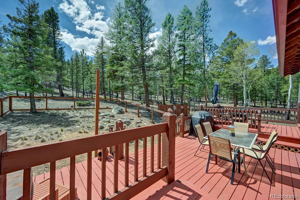 MLS Image #29 for 30433  national forest drive,buena vista, Colorado