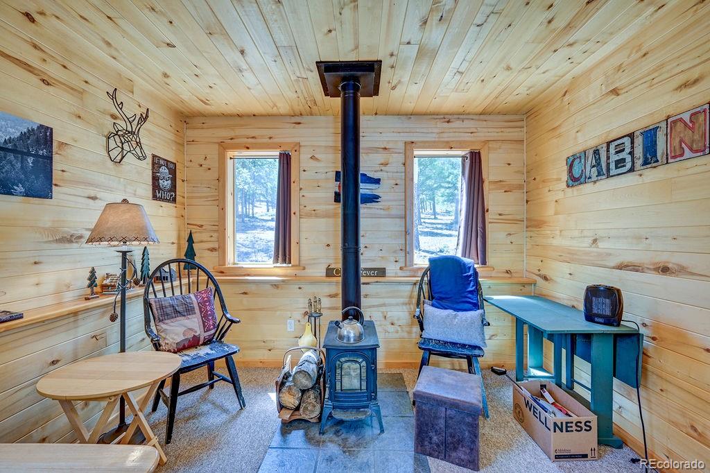 MLS Image #3 for 30433  national forest drive,buena vista, Colorado