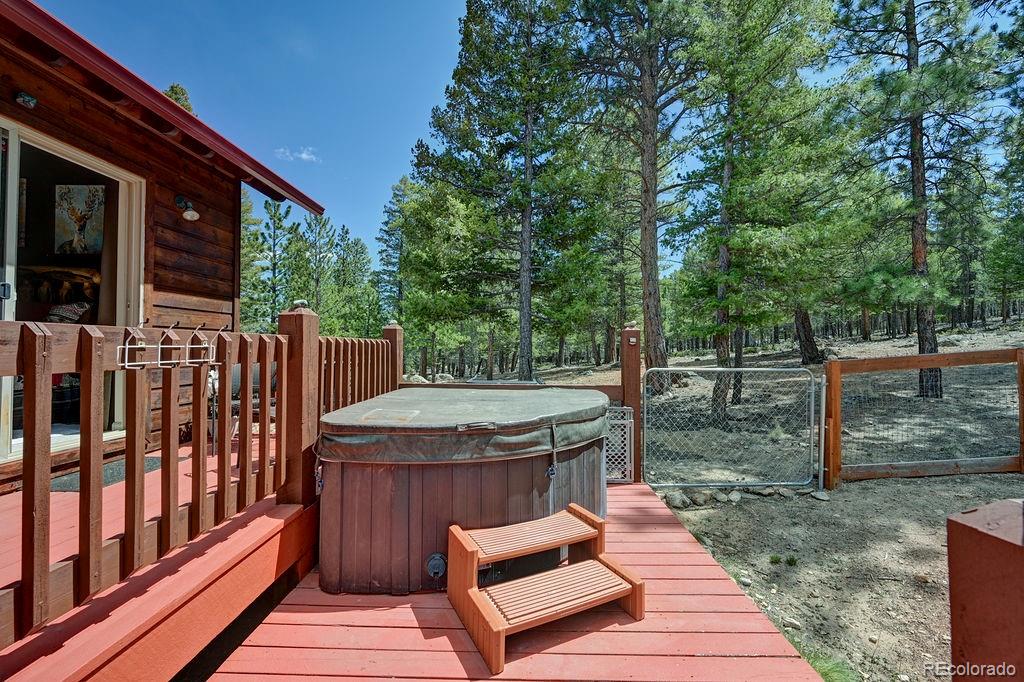 MLS Image #30 for 30433  national forest drive,buena vista, Colorado
