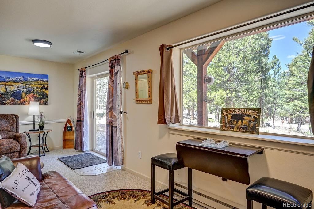 MLS Image #35 for 30433  national forest drive,buena vista, Colorado