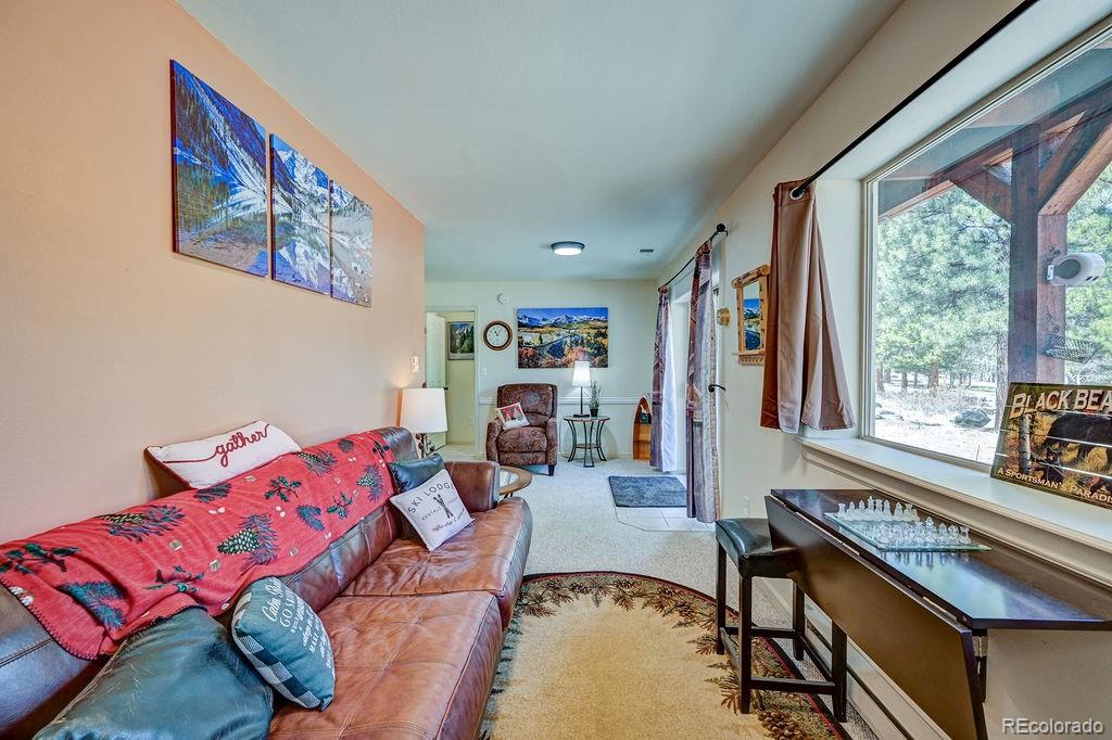 MLS Image #36 for 30433  national forest drive,buena vista, Colorado