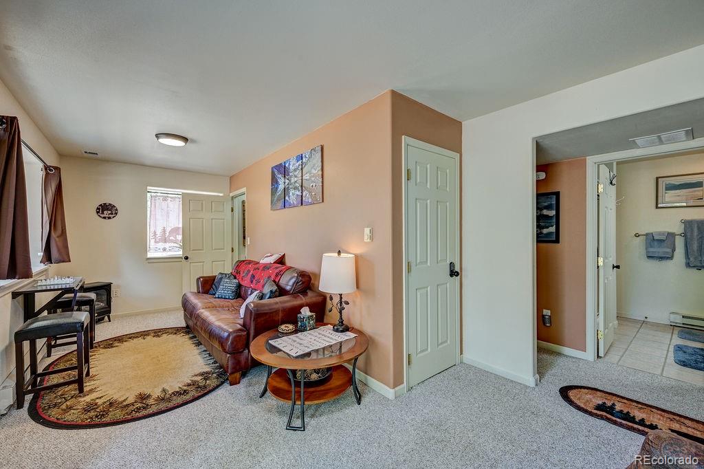 MLS Image #37 for 30433  national forest drive,buena vista, Colorado