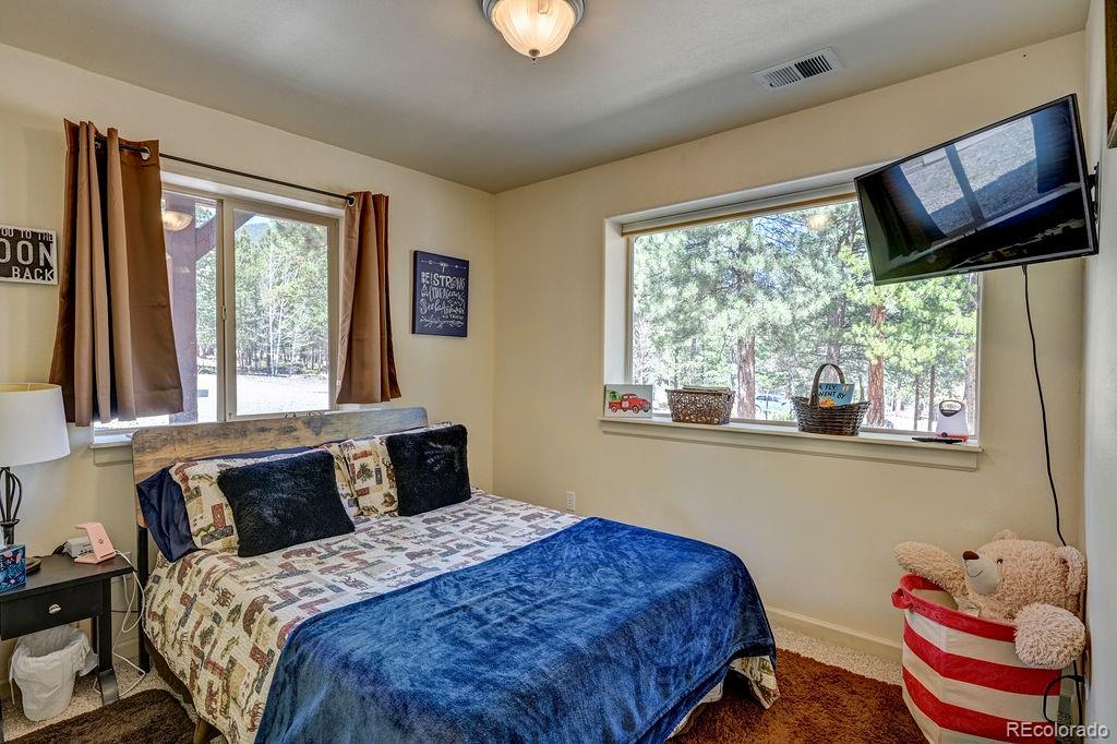 MLS Image #38 for 30433  national forest drive,buena vista, Colorado