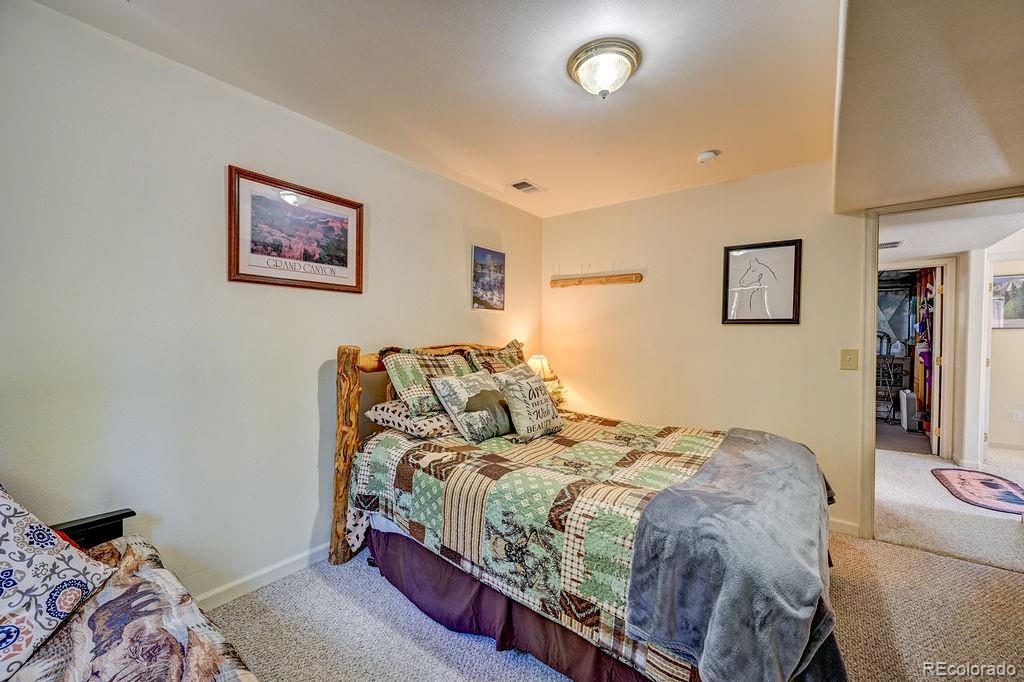 MLS Image #42 for 30433  national forest drive,buena vista, Colorado