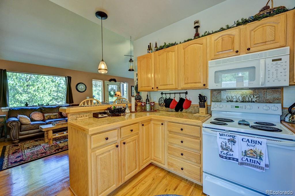 MLS Image #8 for 30433  national forest drive,buena vista, Colorado