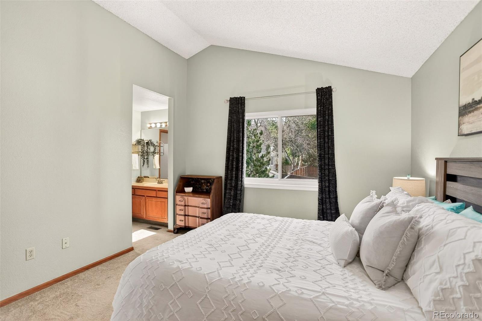 MLS Image #11 for 662  white cloud drive,highlands ranch, Colorado