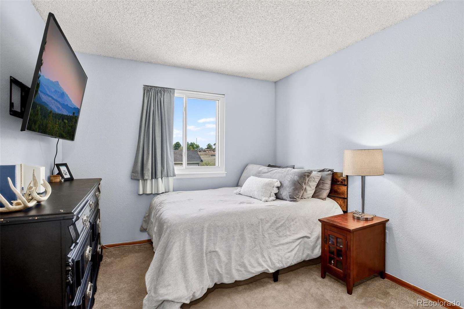 MLS Image #14 for 662  white cloud drive,highlands ranch, Colorado