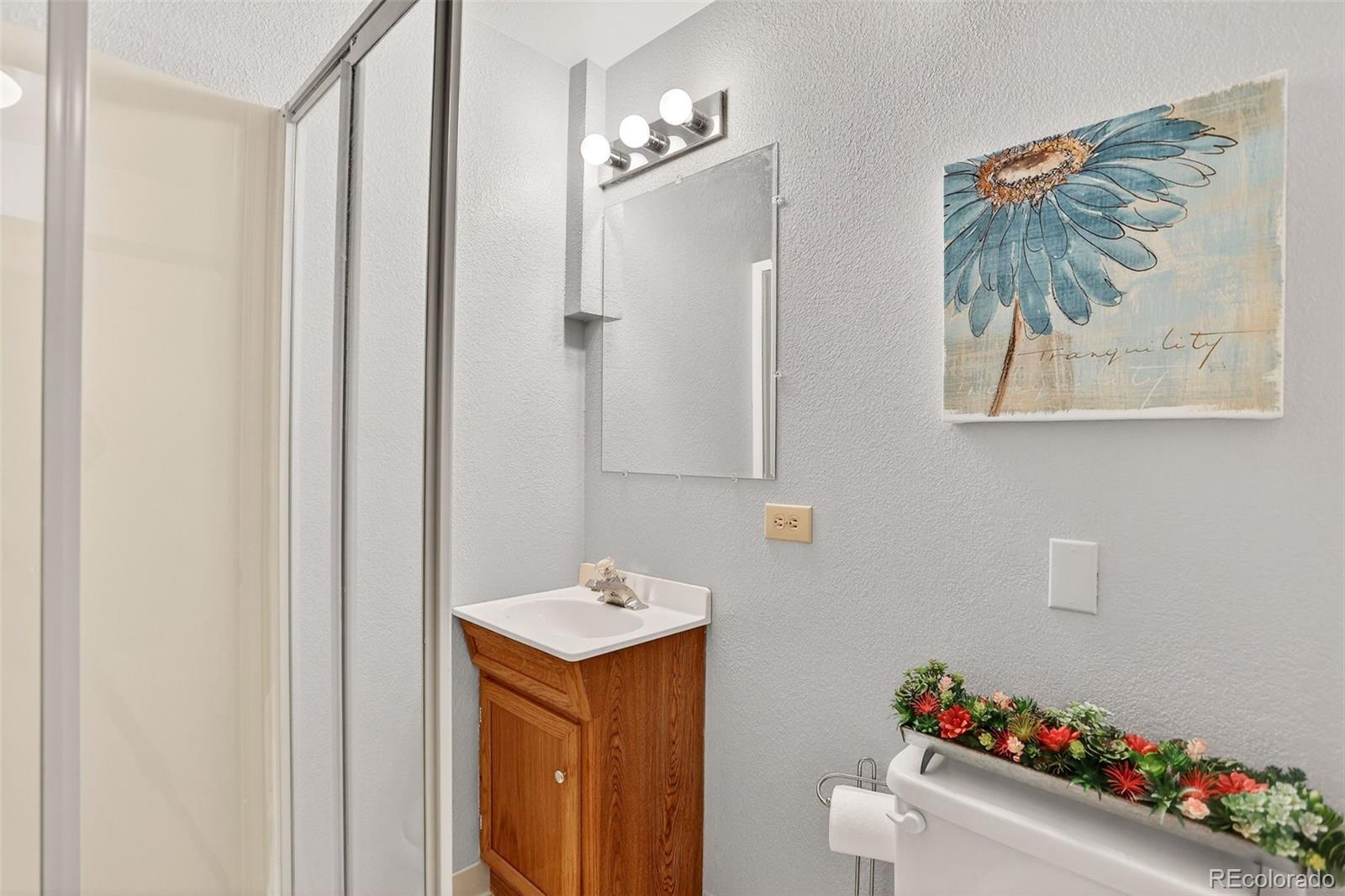 MLS Image #20 for 662  white cloud drive,highlands ranch, Colorado