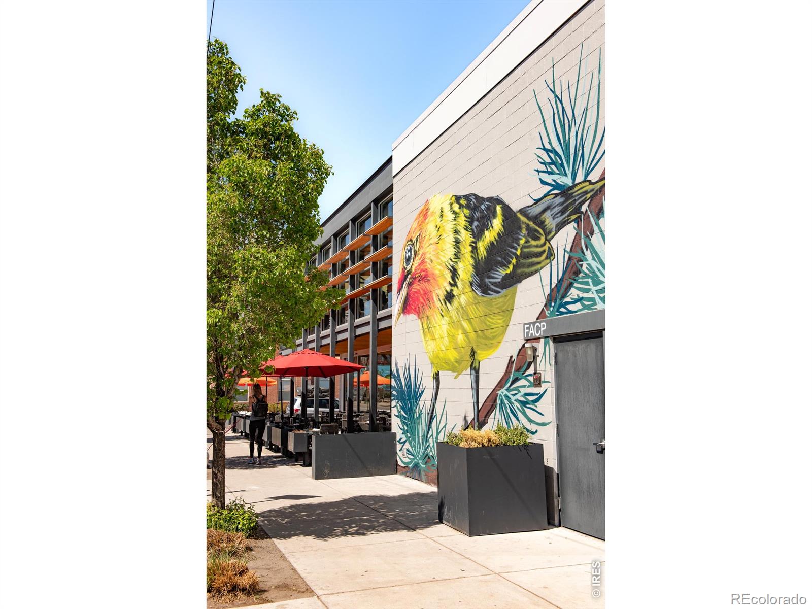 MLS Image #36 for 3036  wilson court,denver, Colorado