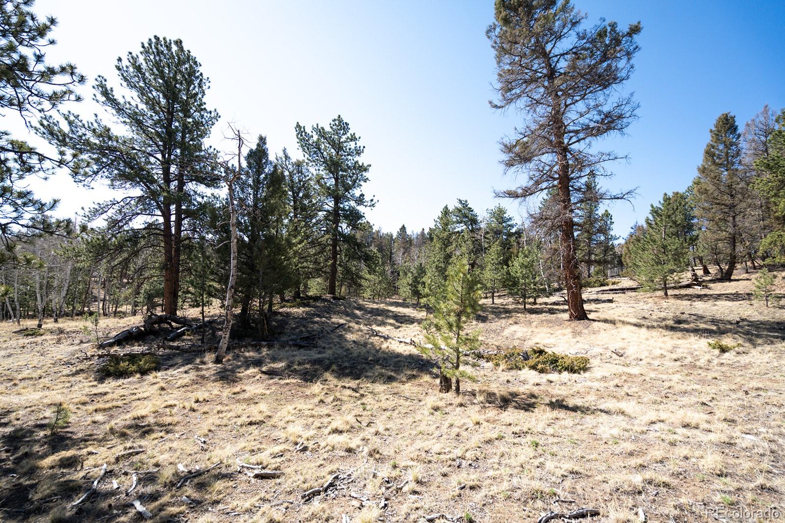 MLS Image #32 for 1657  windmill drive,hartsel, Colorado