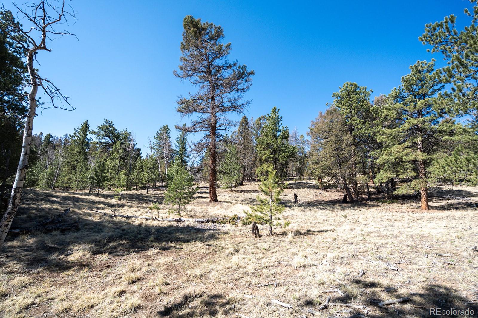 MLS Image #33 for 1657  windmill drive,hartsel, Colorado