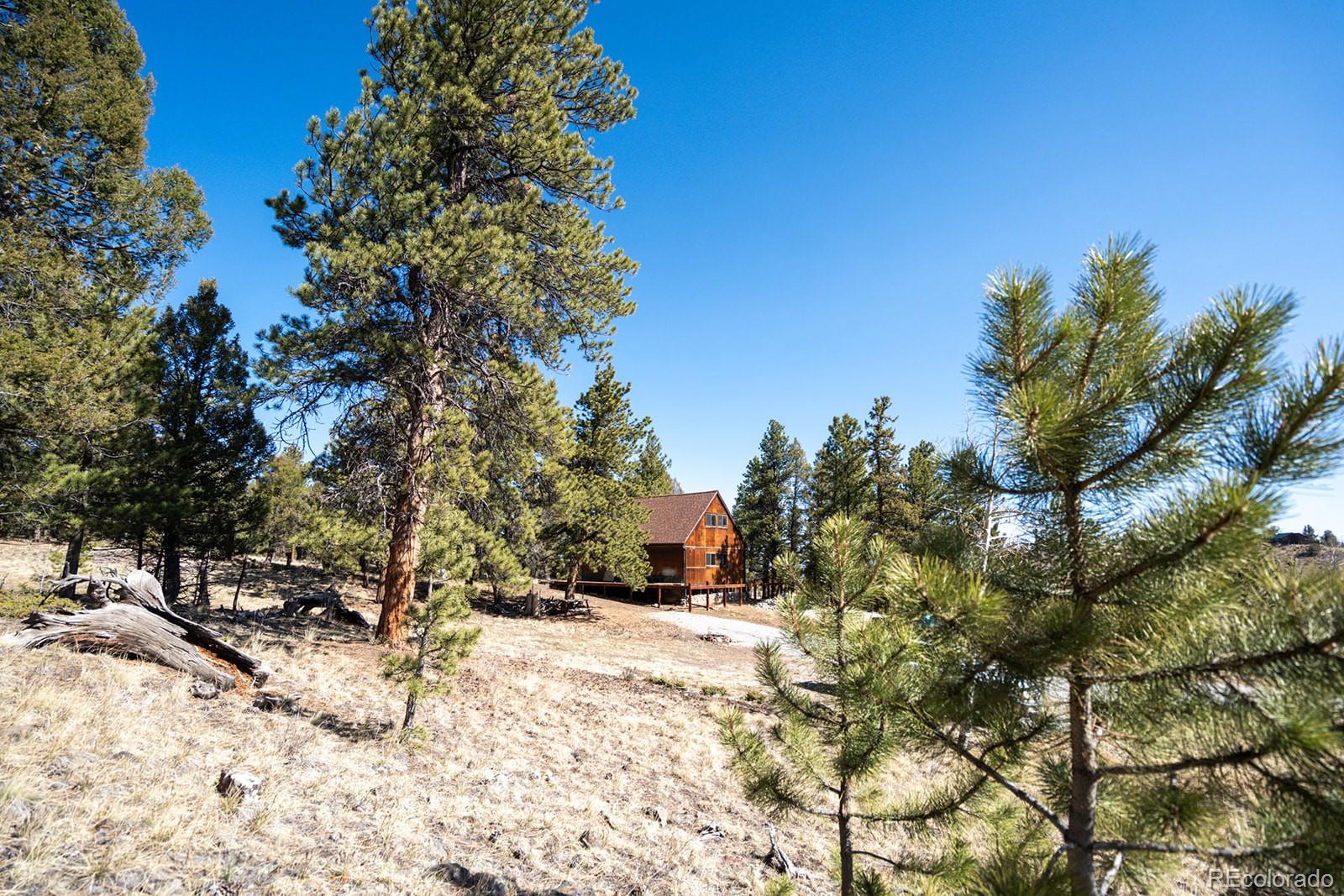 MLS Image #35 for 1657  windmill drive,hartsel, Colorado