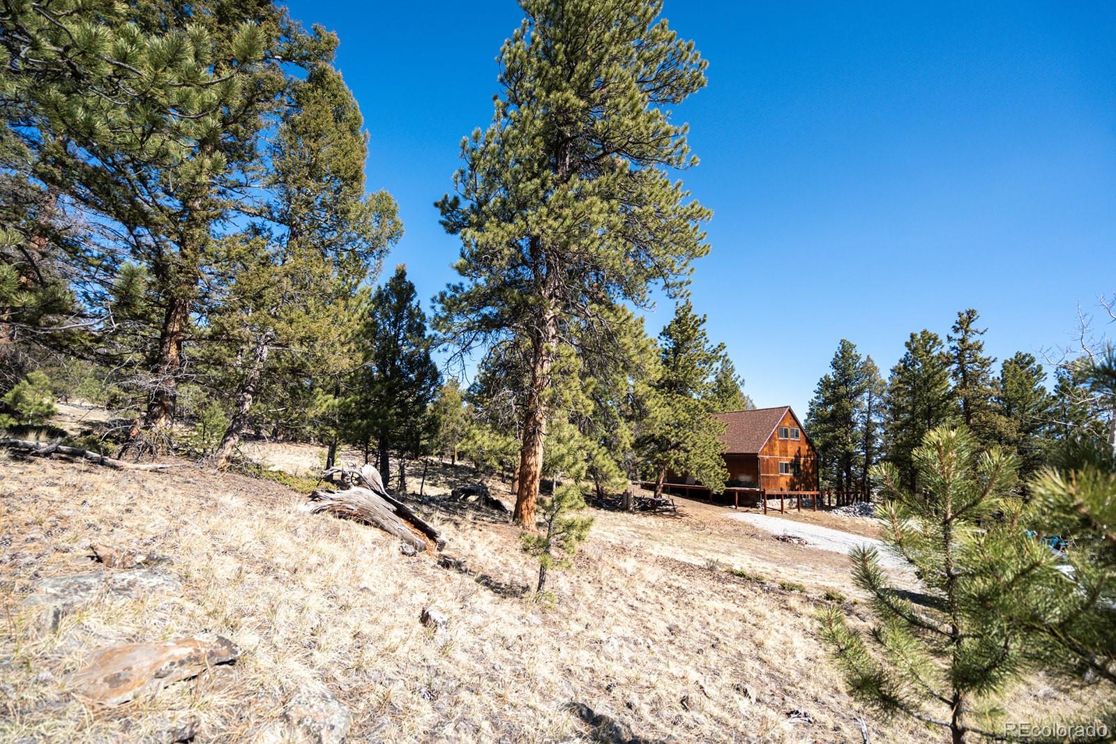 MLS Image #37 for 1657  windmill drive,hartsel, Colorado
