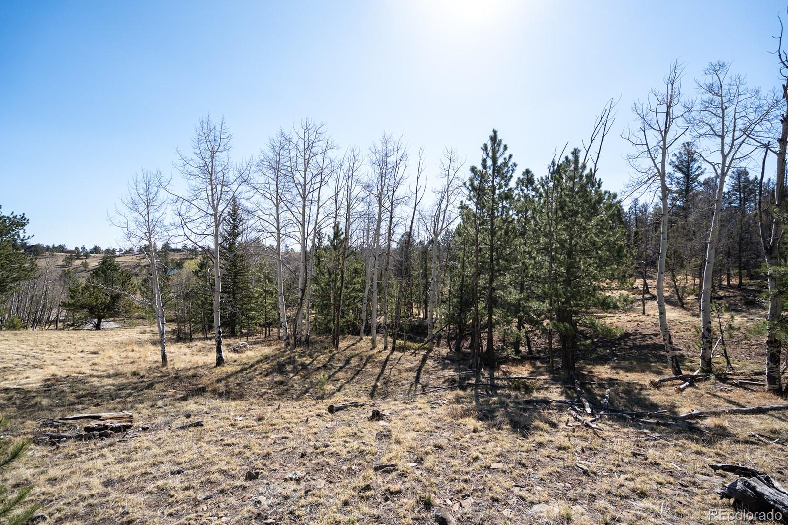 MLS Image #38 for 1657  windmill drive,hartsel, Colorado