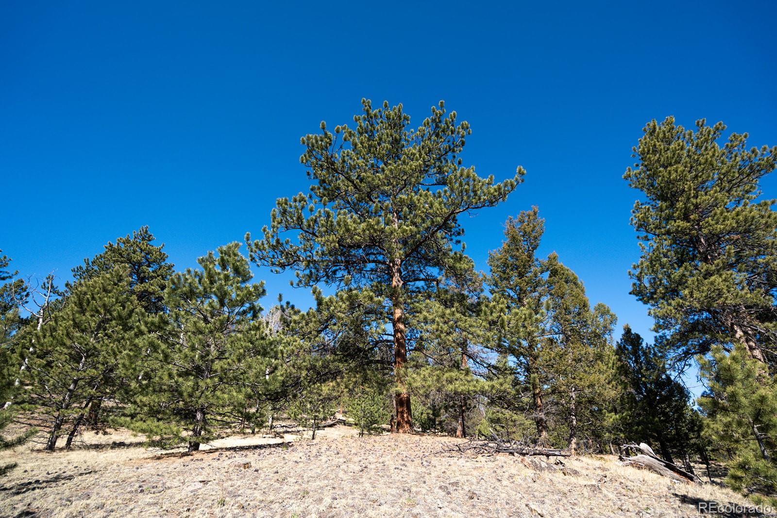 MLS Image #39 for 1657  windmill drive,hartsel, Colorado
