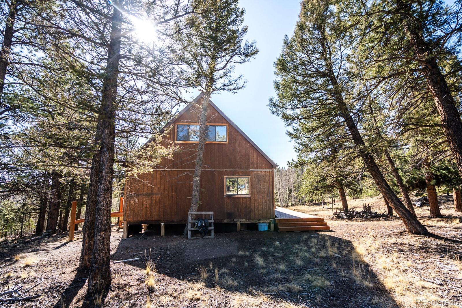 MLS Image #4 for 1657  windmill drive,hartsel, Colorado