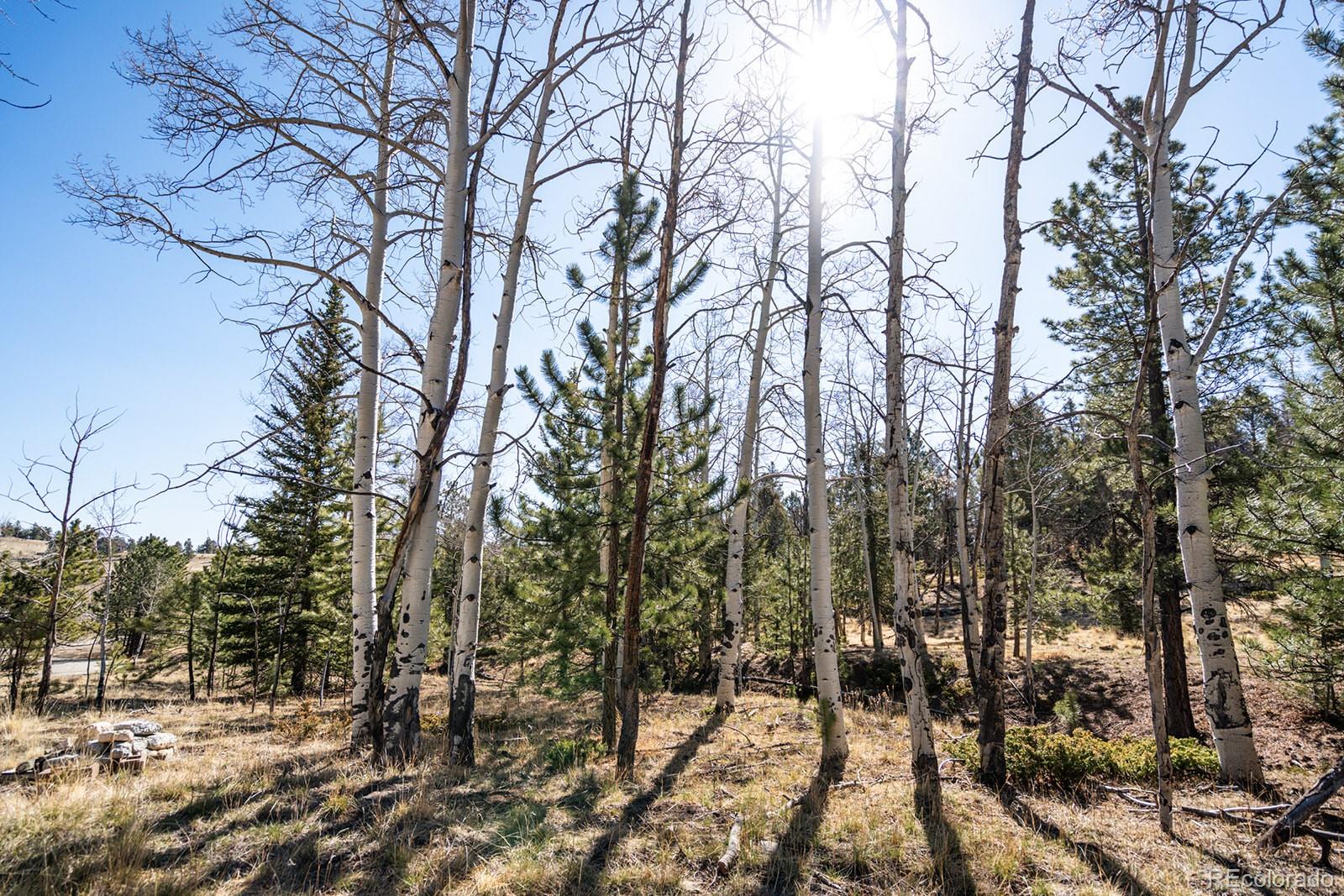 MLS Image #40 for 1657  windmill drive,hartsel, Colorado