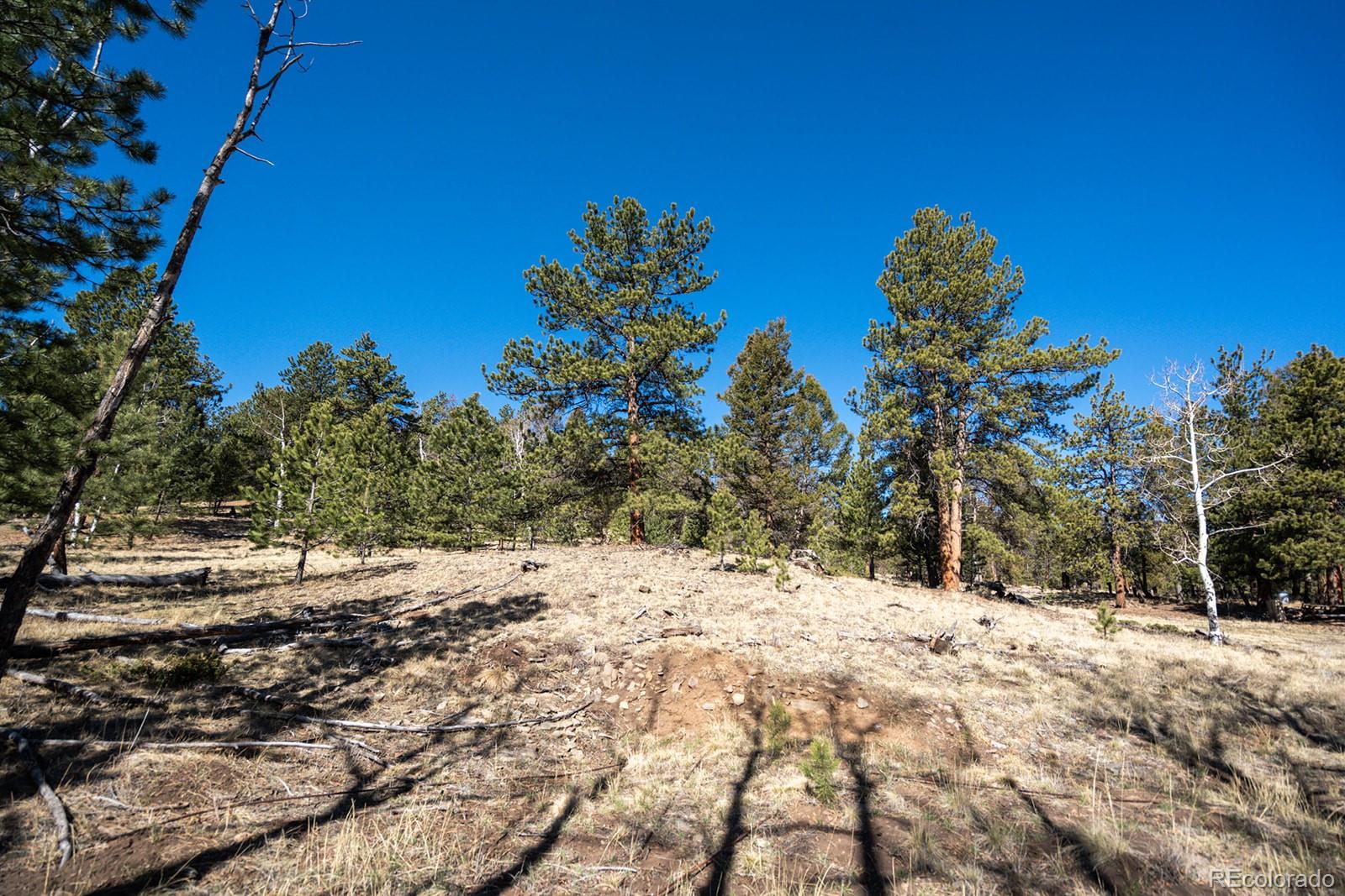 MLS Image #41 for 1657  windmill drive,hartsel, Colorado