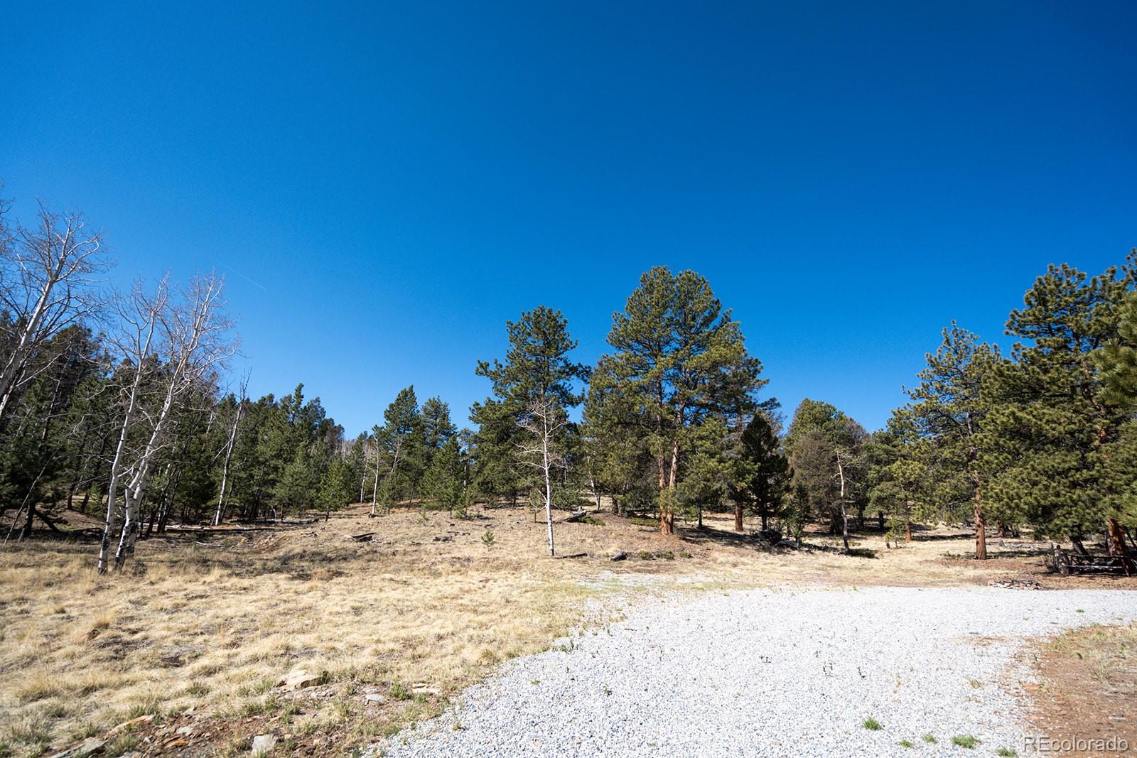 MLS Image #44 for 1657  windmill drive,hartsel, Colorado