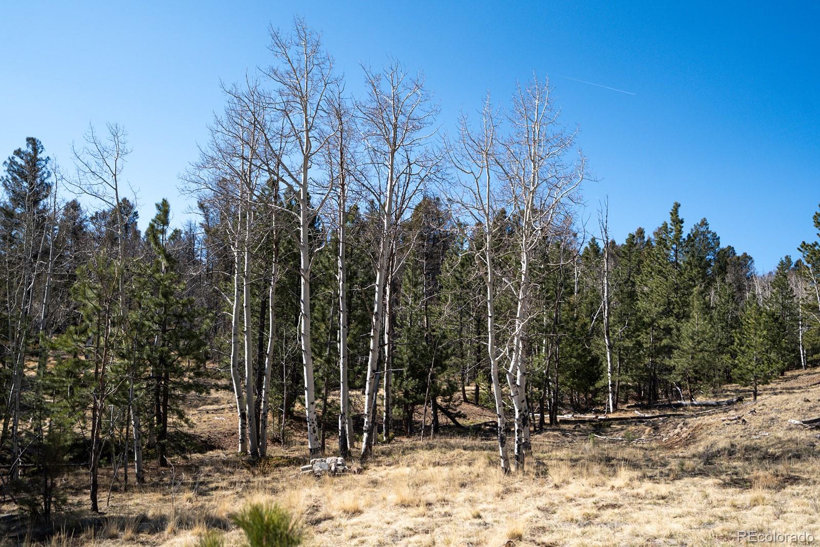 MLS Image #46 for 1657  windmill drive,hartsel, Colorado