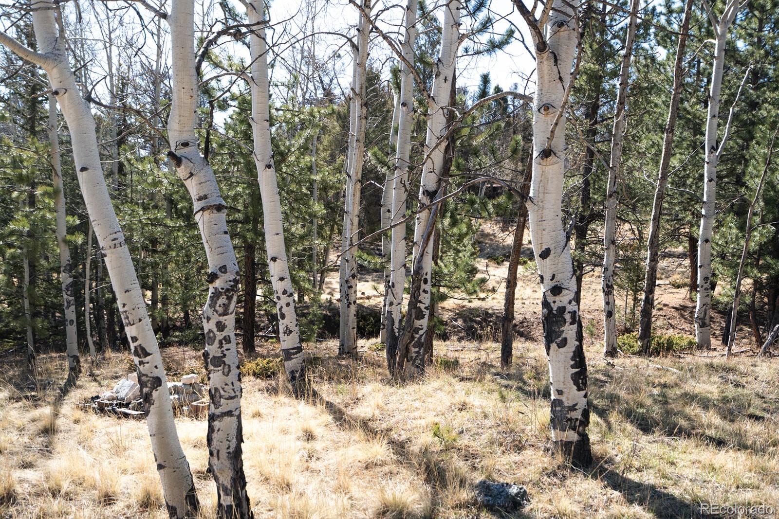 MLS Image #47 for 1657  windmill drive,hartsel, Colorado