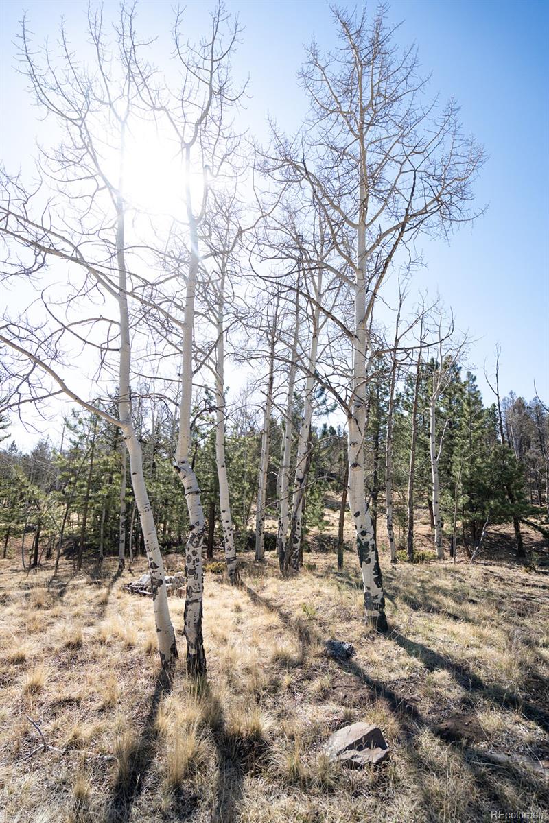 MLS Image #48 for 1657  windmill drive,hartsel, Colorado