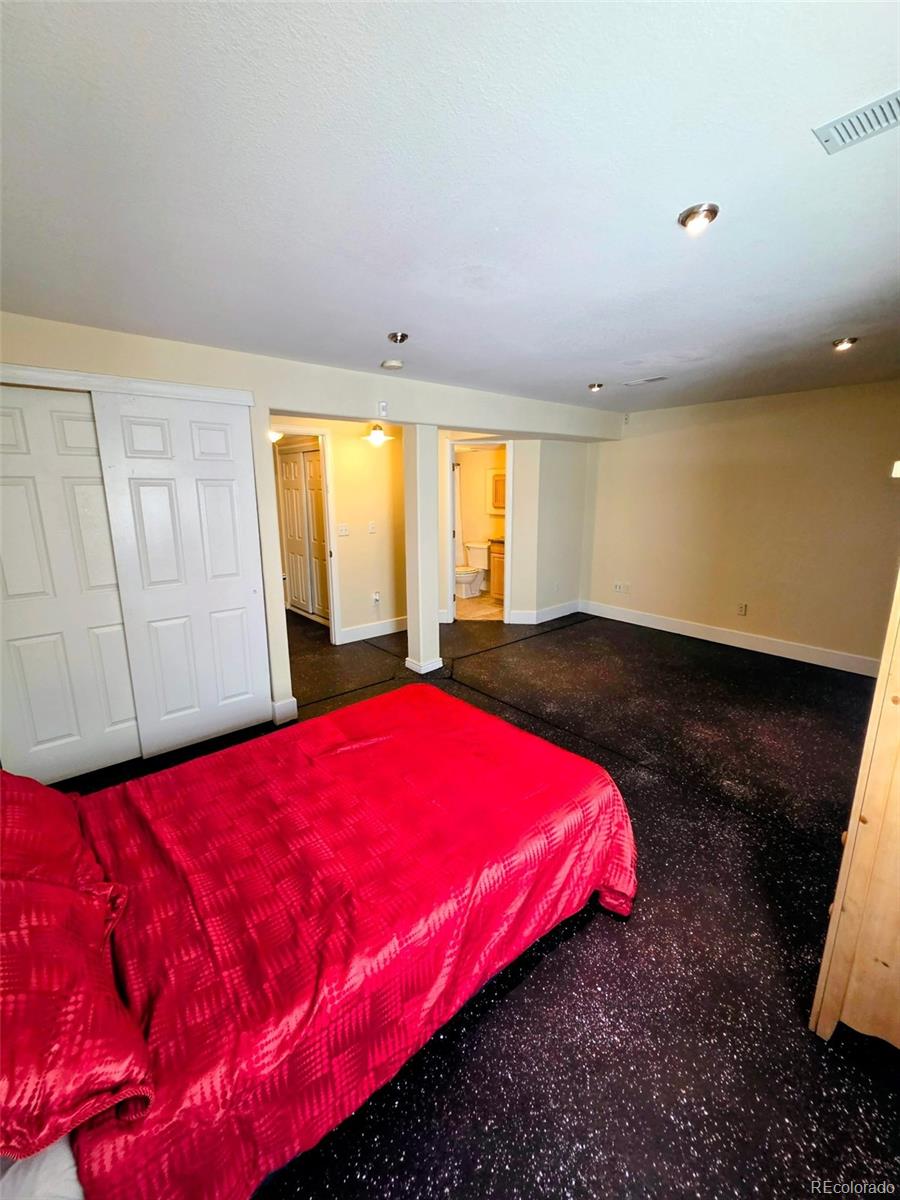 MLS Image #12 for 4873  cornish court,denver, Colorado