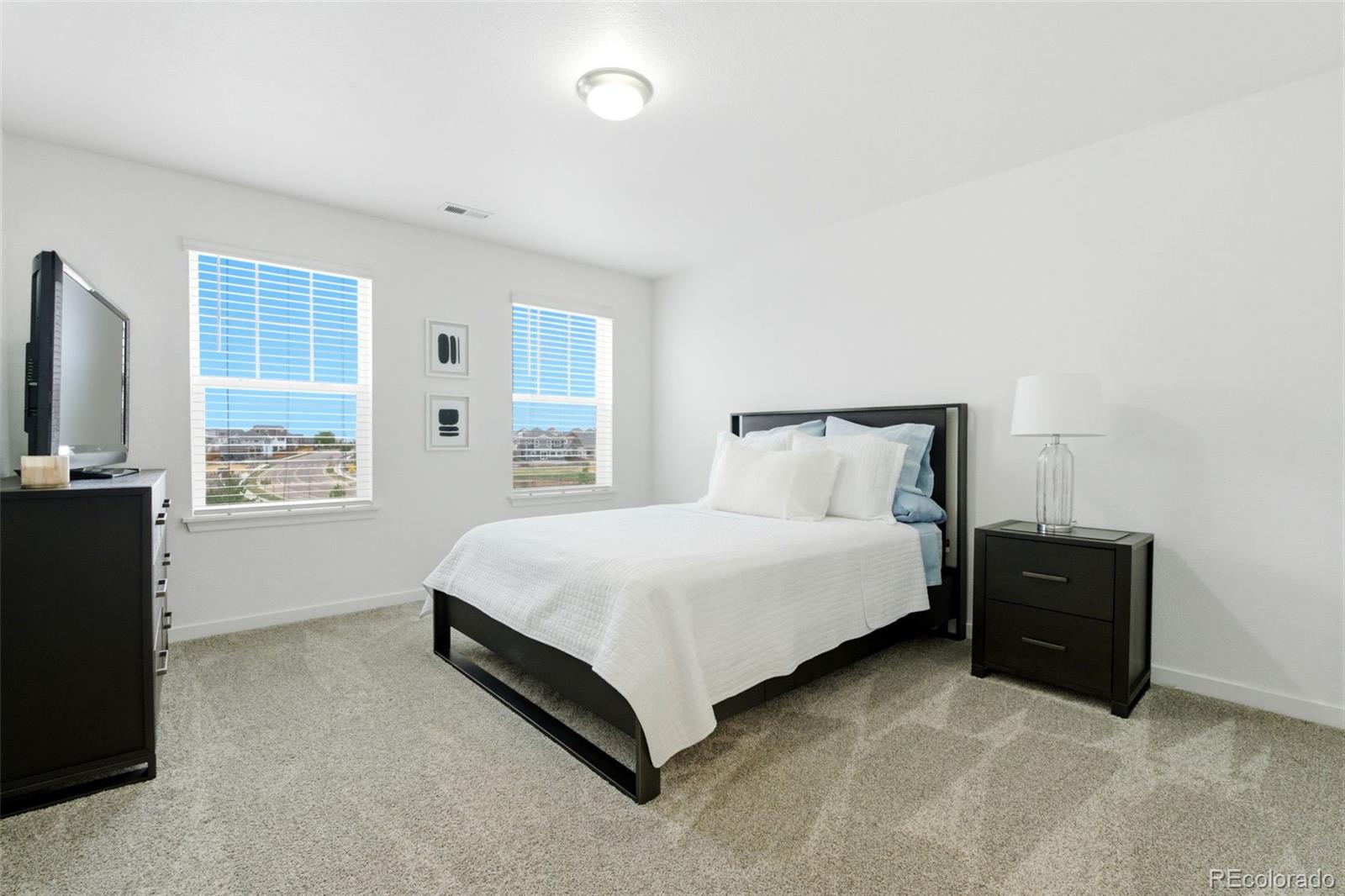 MLS Image #27 for 16396 e 110th avenue,commerce city, Colorado