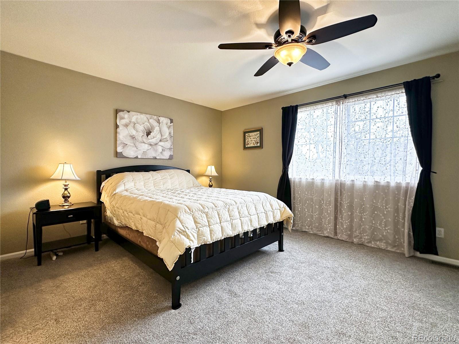 MLS Image #14 for 1089  riddlewood lane,highlands ranch, Colorado
