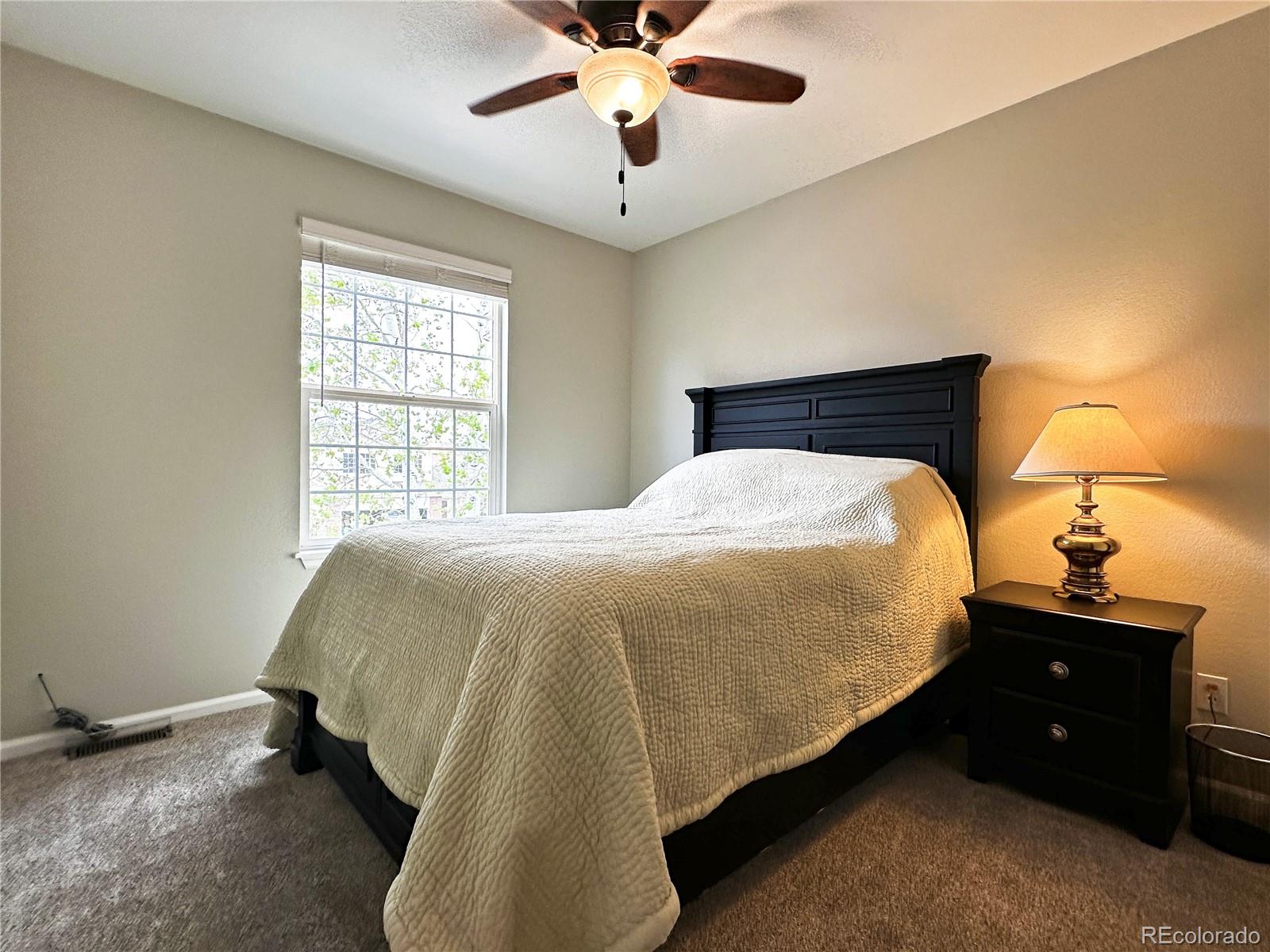 MLS Image #20 for 1089  riddlewood lane,highlands ranch, Colorado