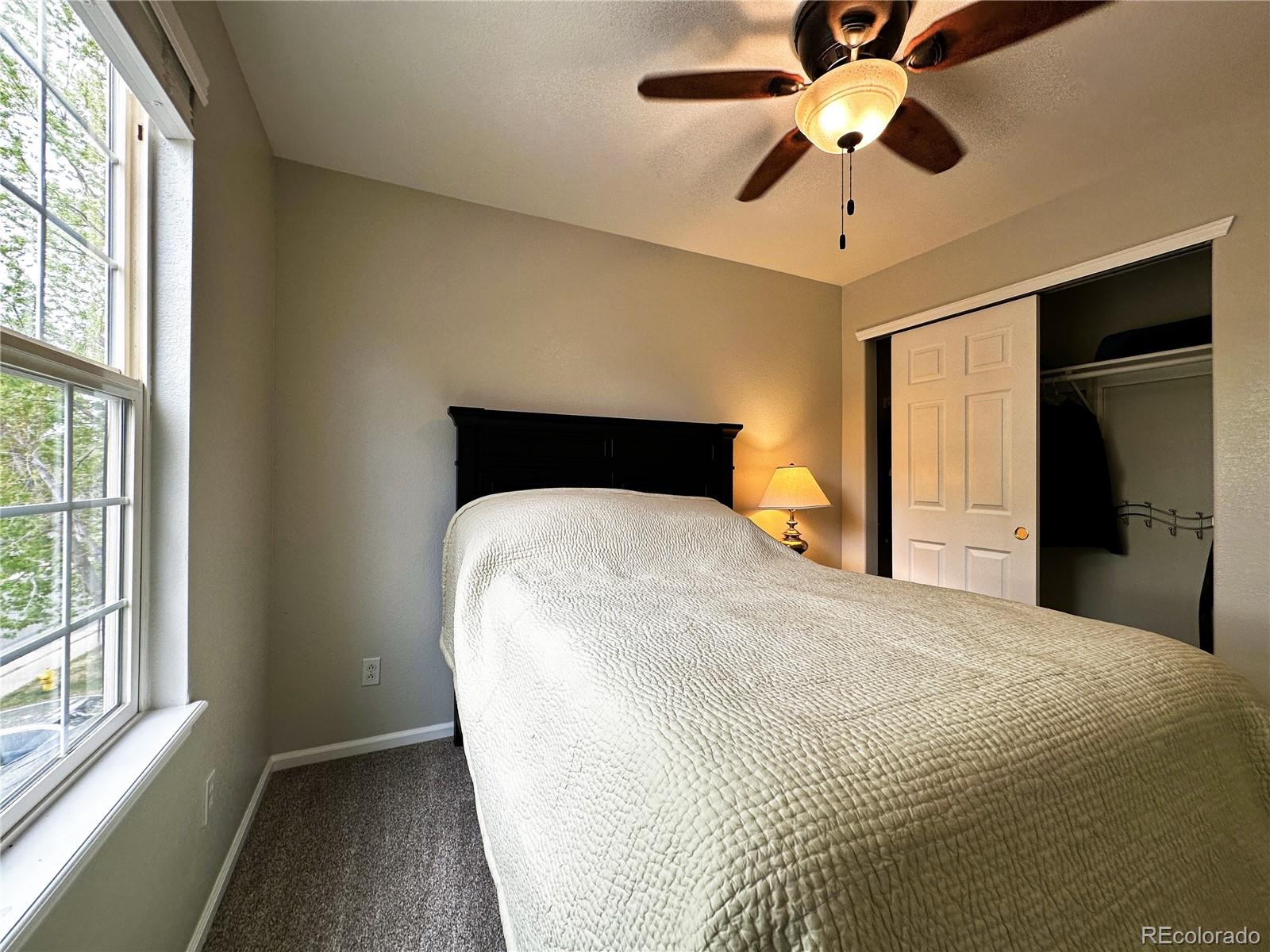 MLS Image #21 for 1089  riddlewood lane,highlands ranch, Colorado