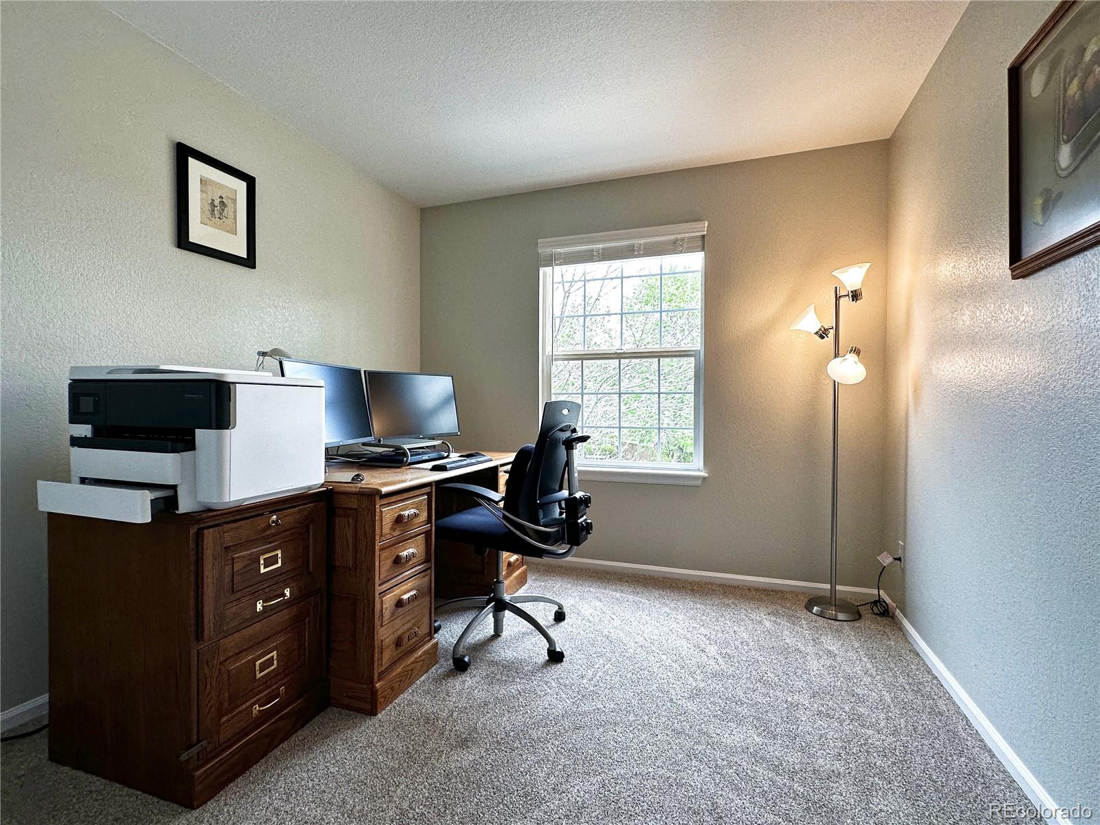 MLS Image #23 for 1089  riddlewood lane,highlands ranch, Colorado