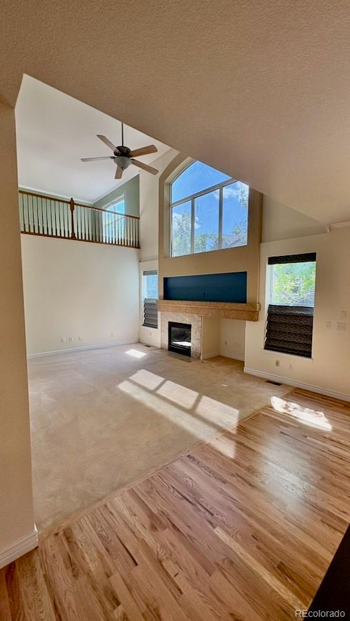 MLS Image #13 for 8325  braun street,arvada, Colorado