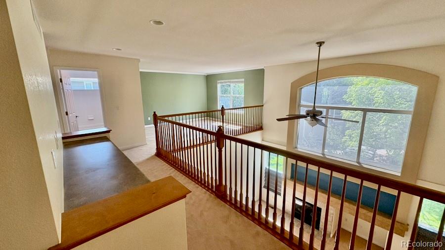 MLS Image #19 for 8325  braun street,arvada, Colorado