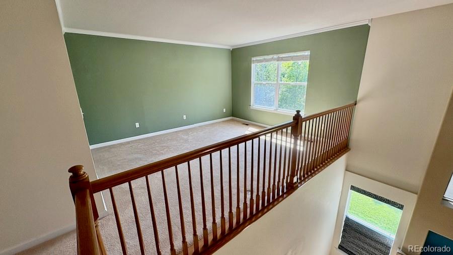 MLS Image #21 for 8325  braun street,arvada, Colorado