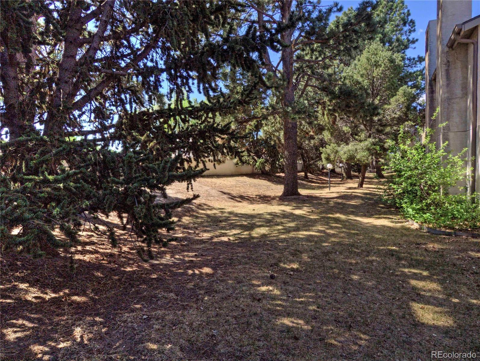 MLS Image #29 for 3330  templeton gap road,colorado springs, Colorado