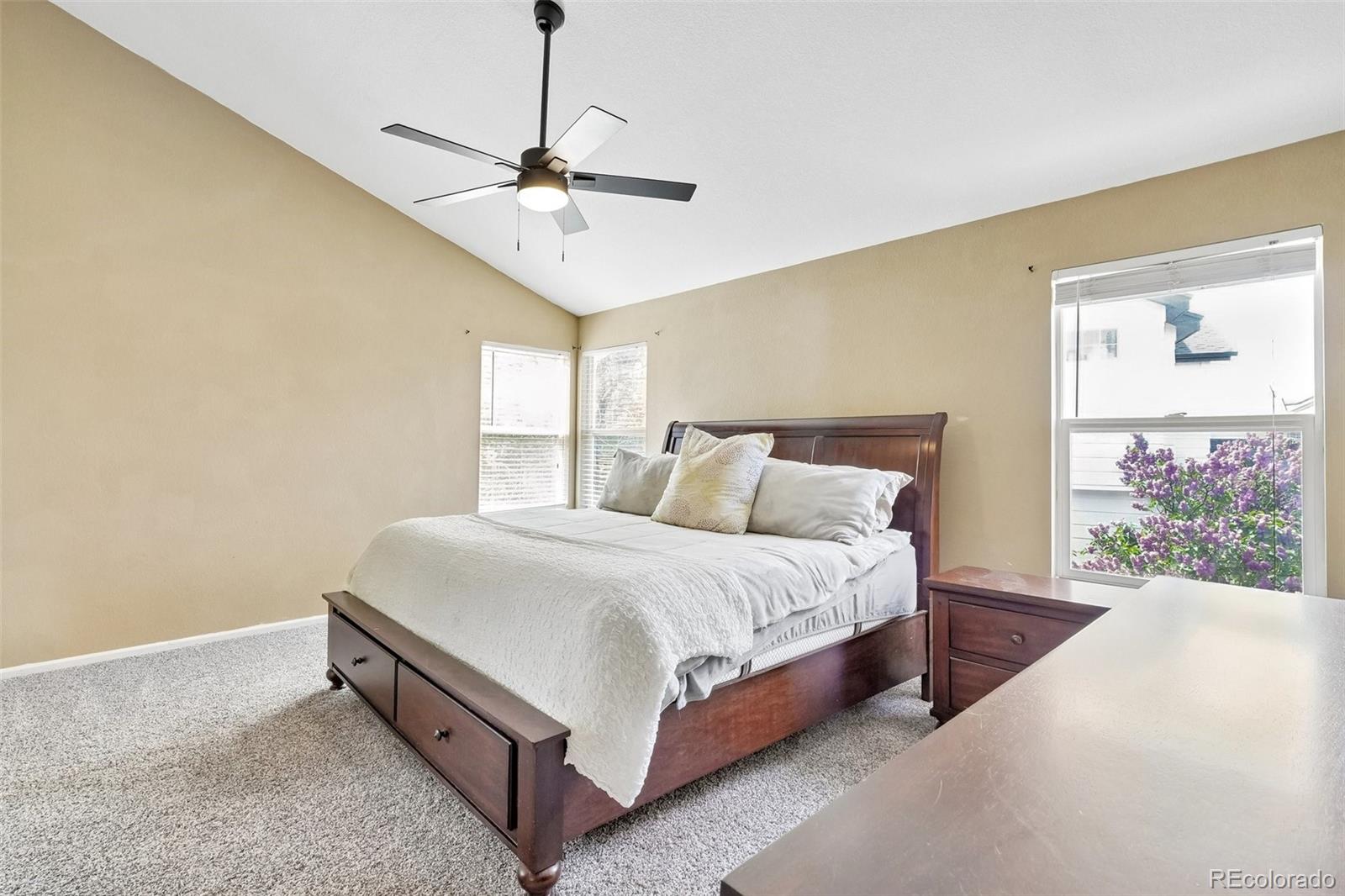 MLS Image #25 for 6642  tiger tooth ,lone tree, Colorado