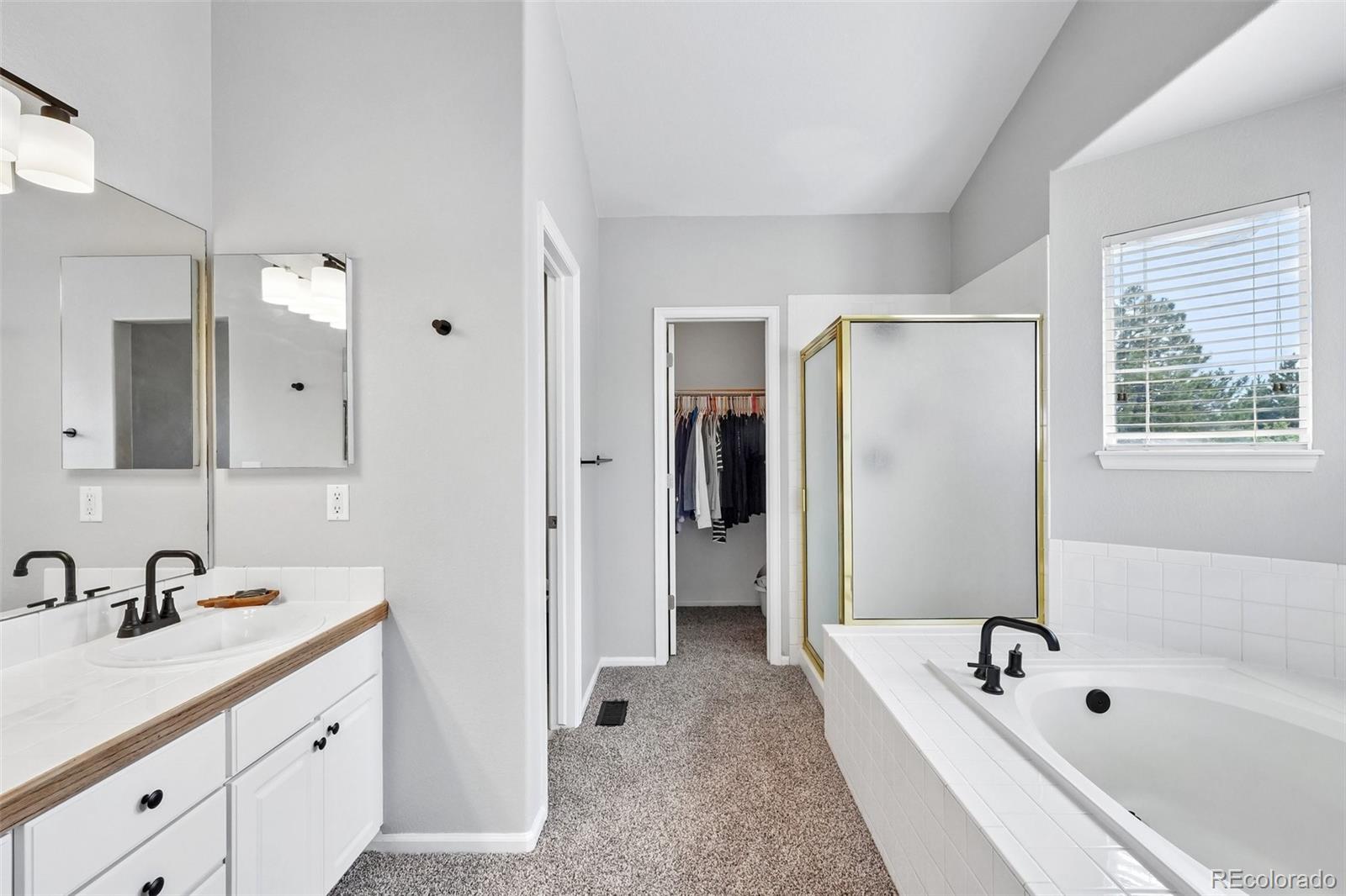 MLS Image #27 for 6642  tiger tooth ,lone tree, Colorado