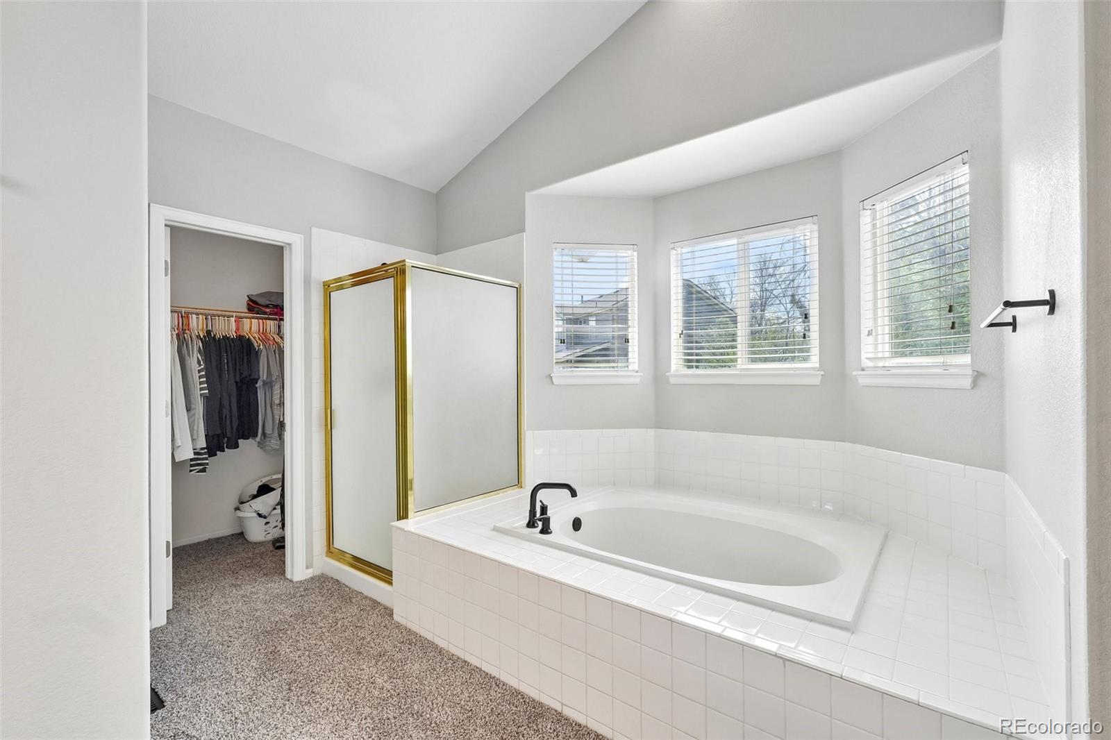 MLS Image #28 for 6642  tiger tooth ,lone tree, Colorado