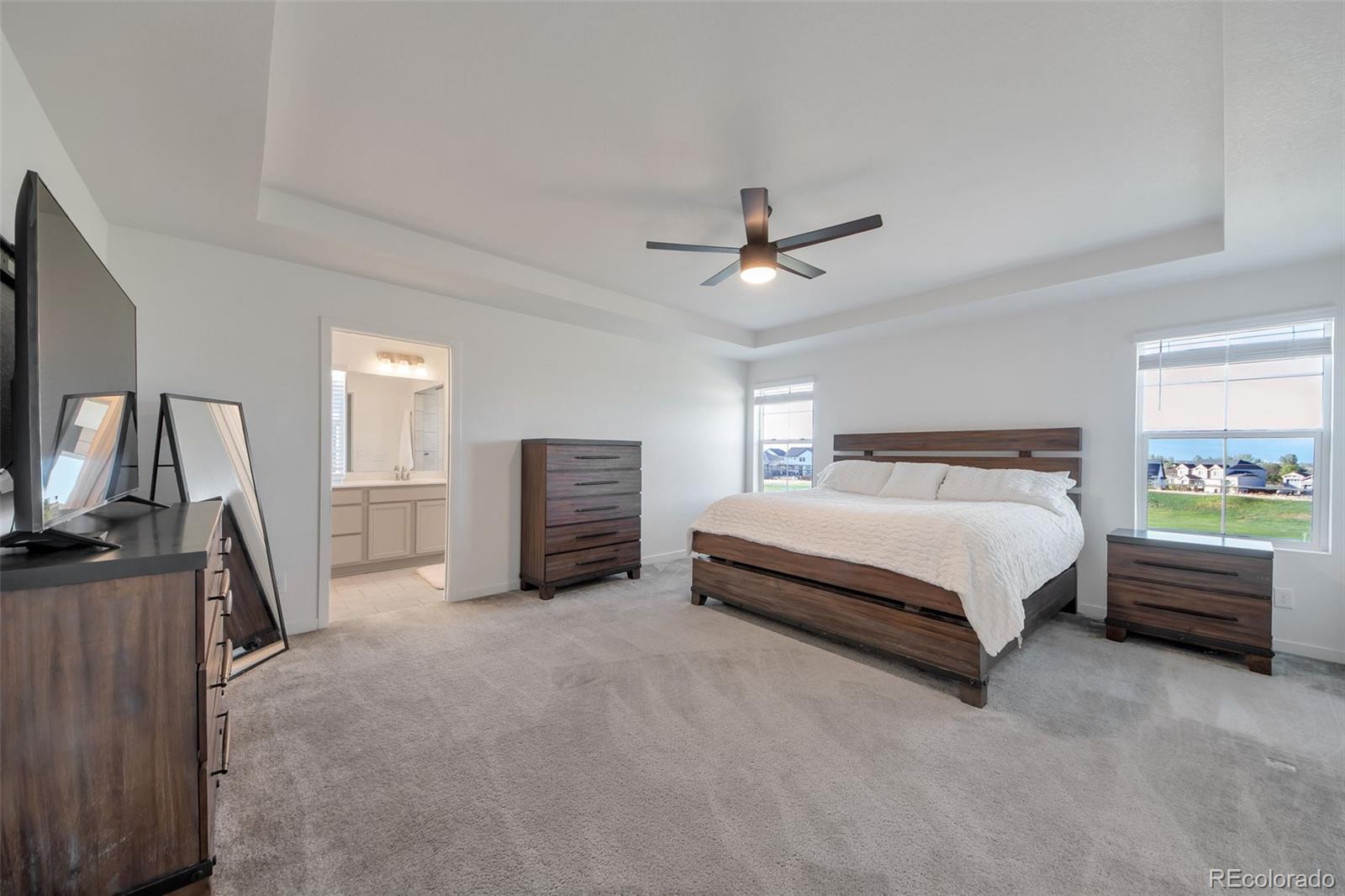MLS Image #14 for 16595 e 110th avenue,commerce city, Colorado