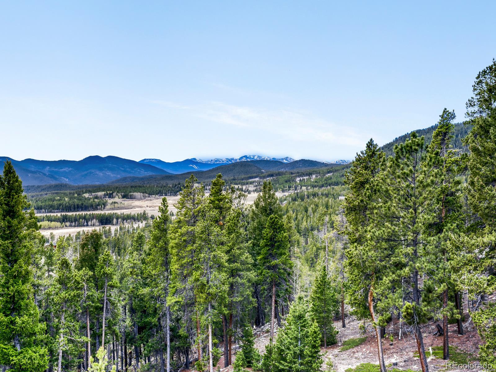 MLS Image #5 for 34628  lyttle dowdle drive,golden, Colorado