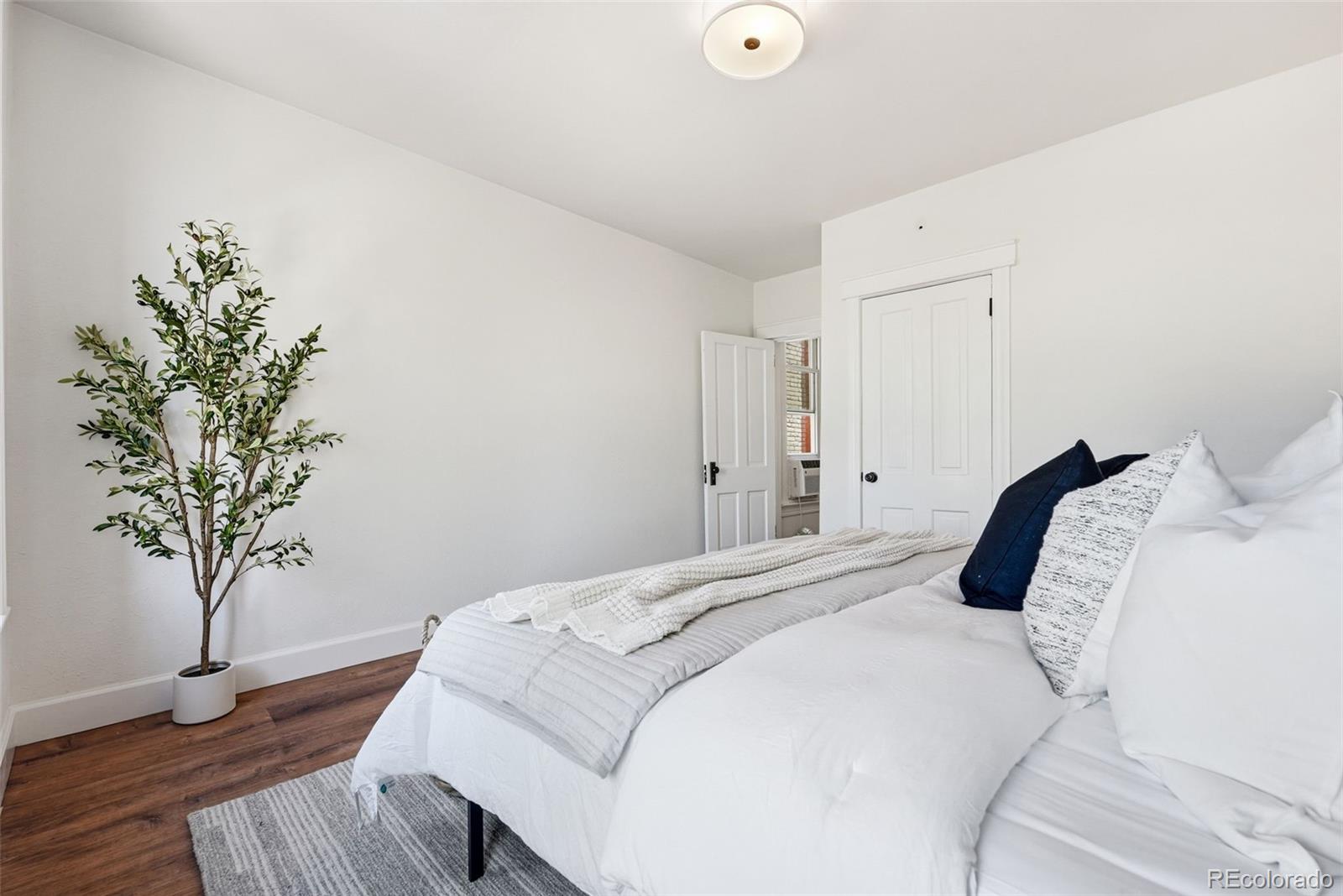 MLS Image #19 for 2034 e martin luther king jr boulevard,denver, Colorado