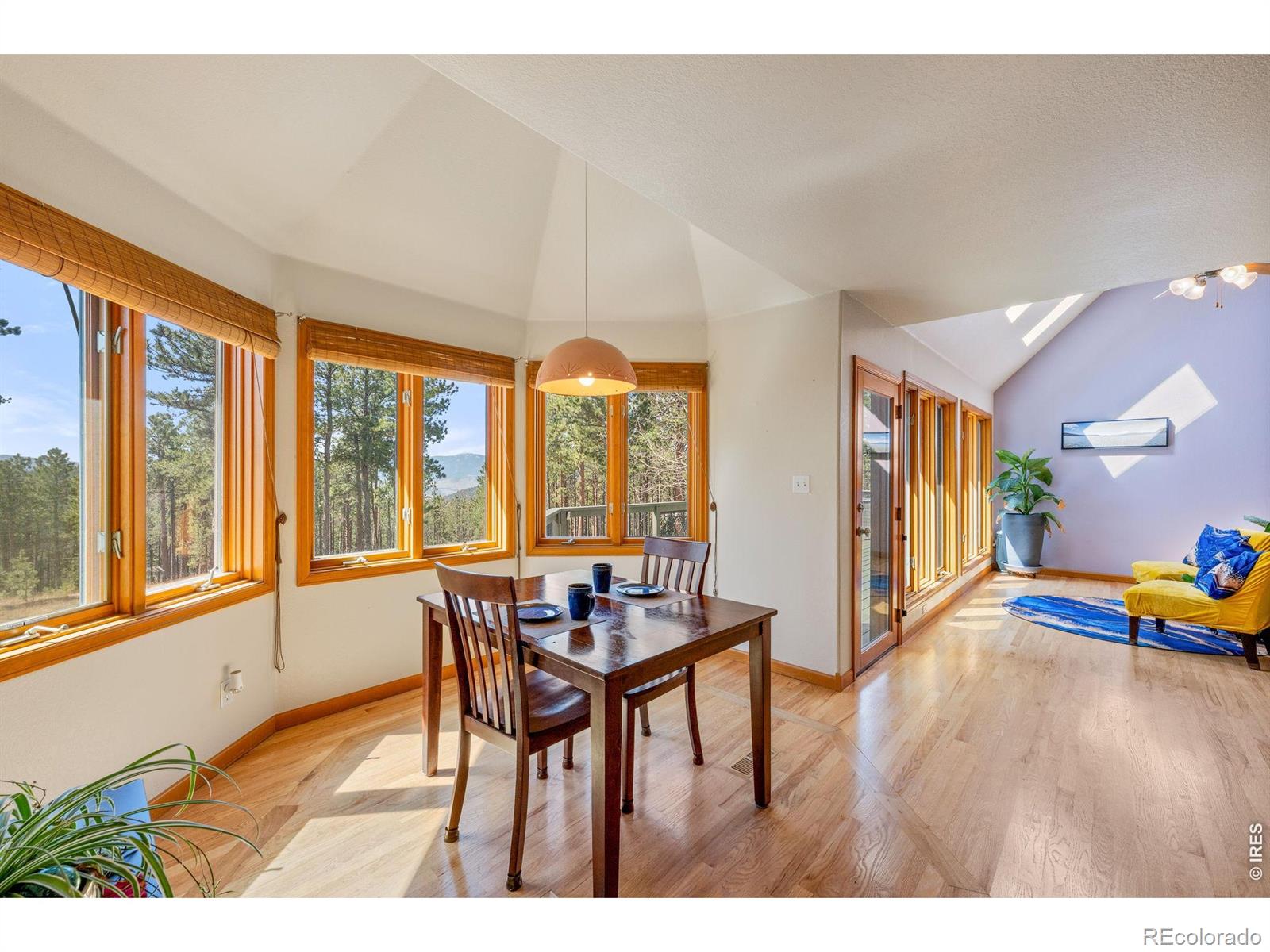 MLS Image #16 for 27291  molly drive,conifer, Colorado