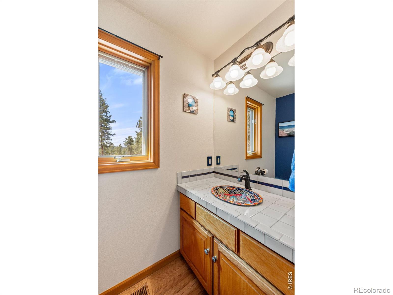 MLS Image #18 for 27291  molly drive,conifer, Colorado