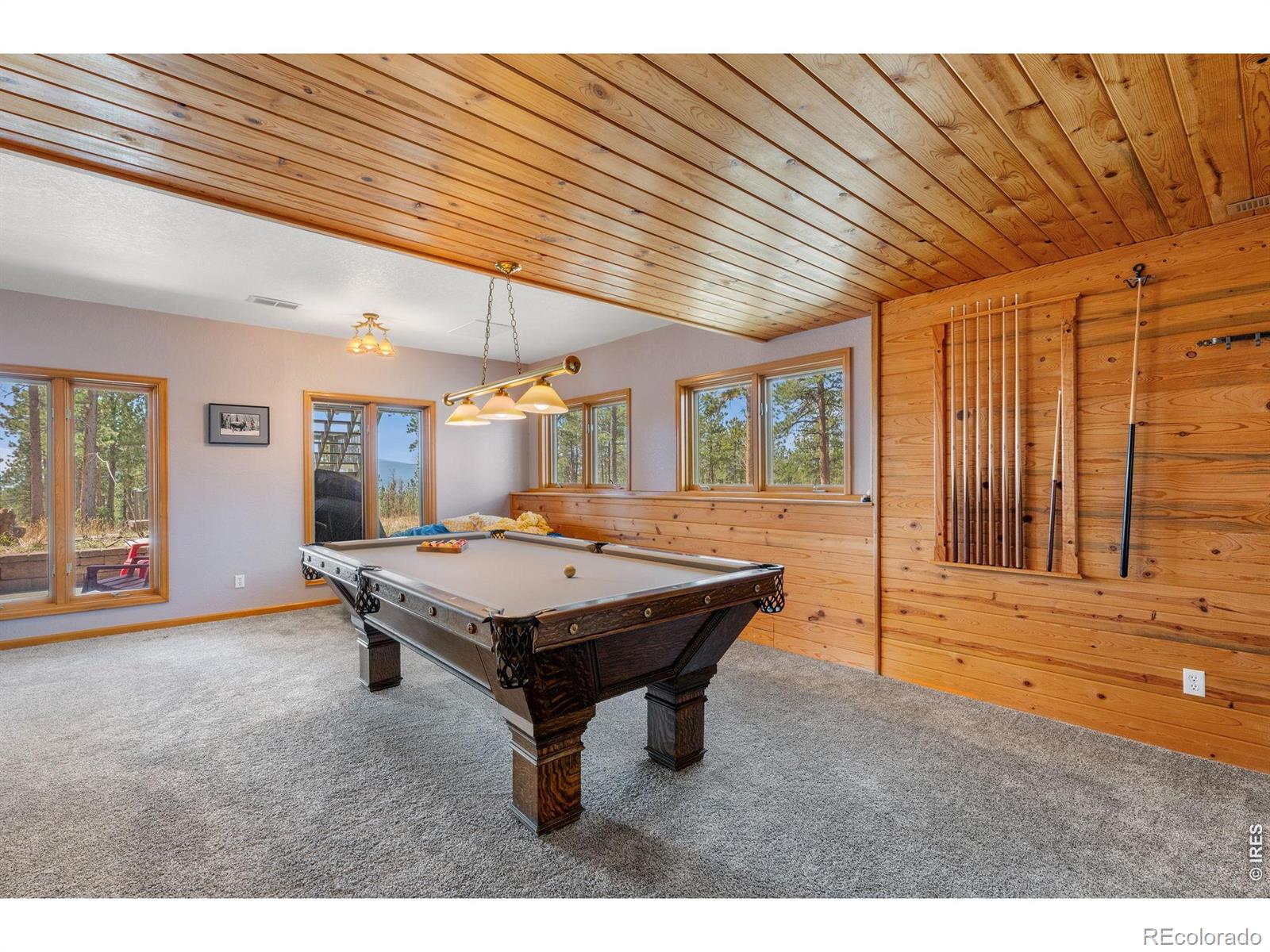 MLS Image #34 for 27291  molly drive,conifer, Colorado
